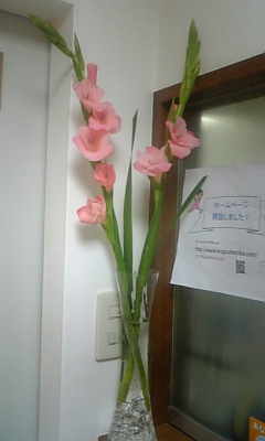こぐち歯科の花=<br />
 出雲