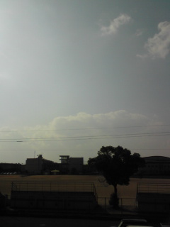 いい天気ですなぁ