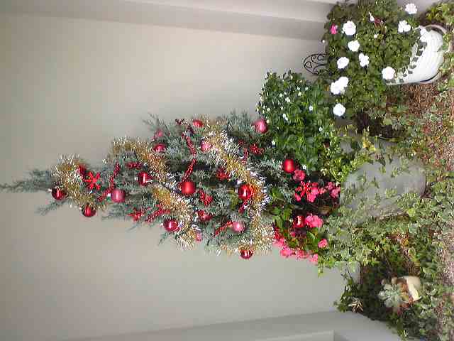 ディスプレイ２