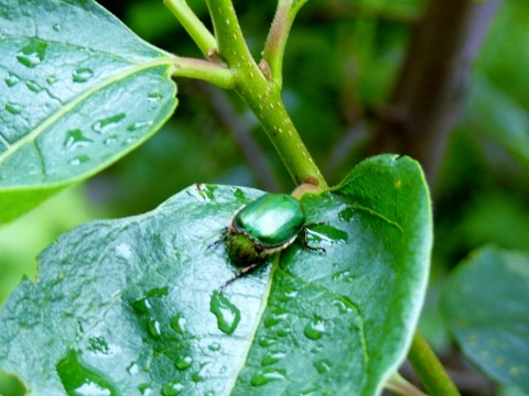 Photo_15