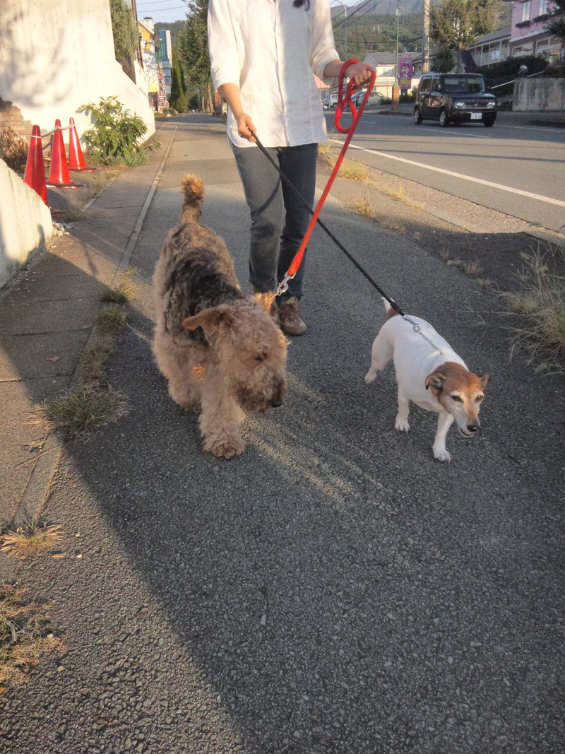 今日からお泊まり!
