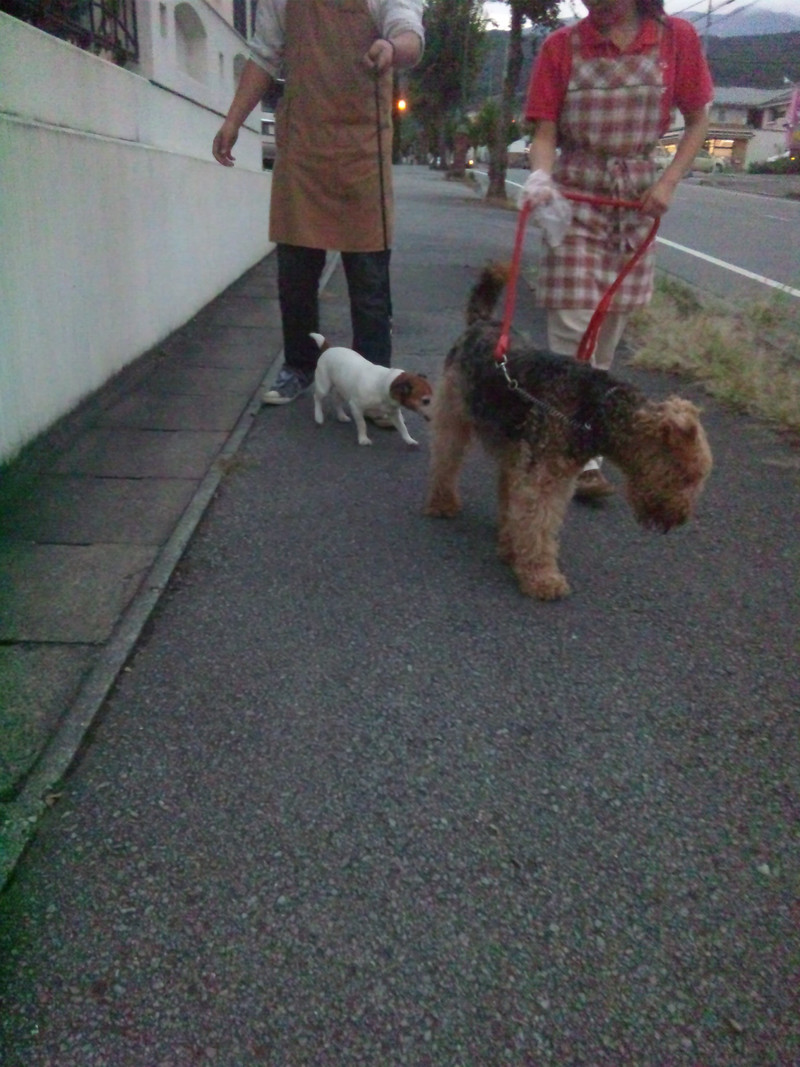 二人仲良しなミントちゃん、ララちゃんです