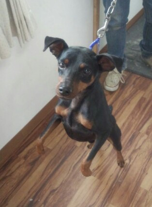 元気一杯ナナちゃんです