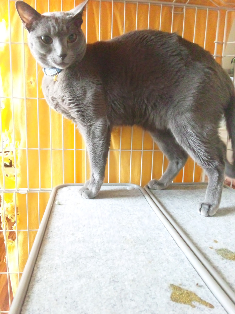 武田くうちゃん写真が！！