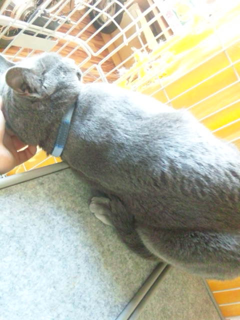 武田くうちゃん写真が！！