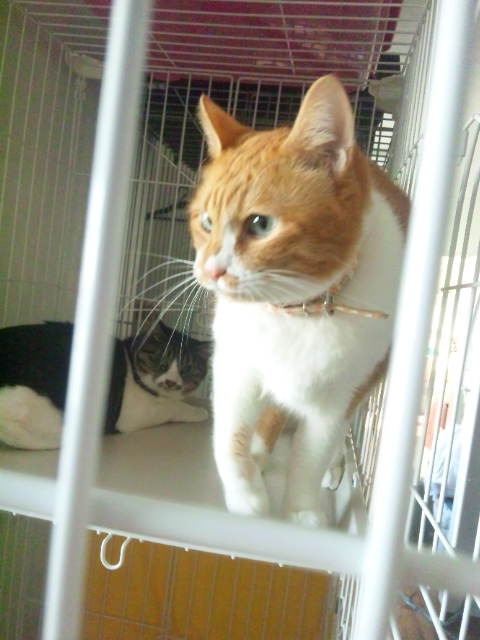 えまたチマ&モコちゃん〓