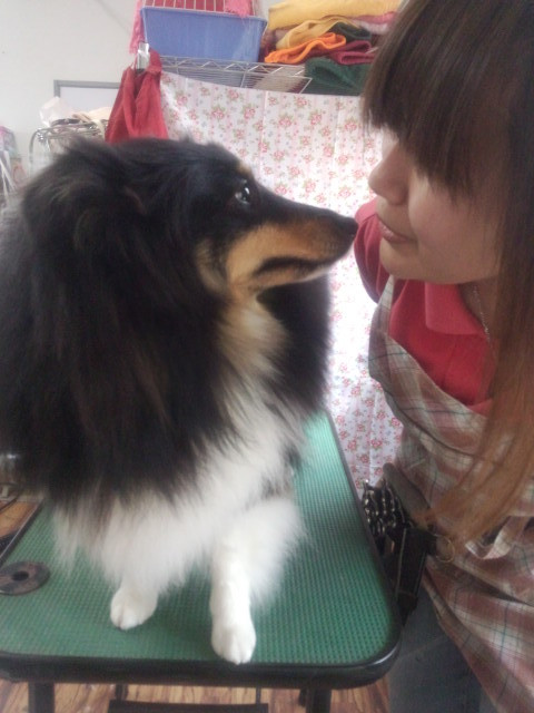 ロビンちゃんとチューしてみたり(<br />
笑) 山形市 ペットサロン わんニャンシャンプー