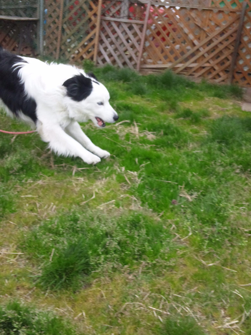 お泊まり中のオスカーくん♪