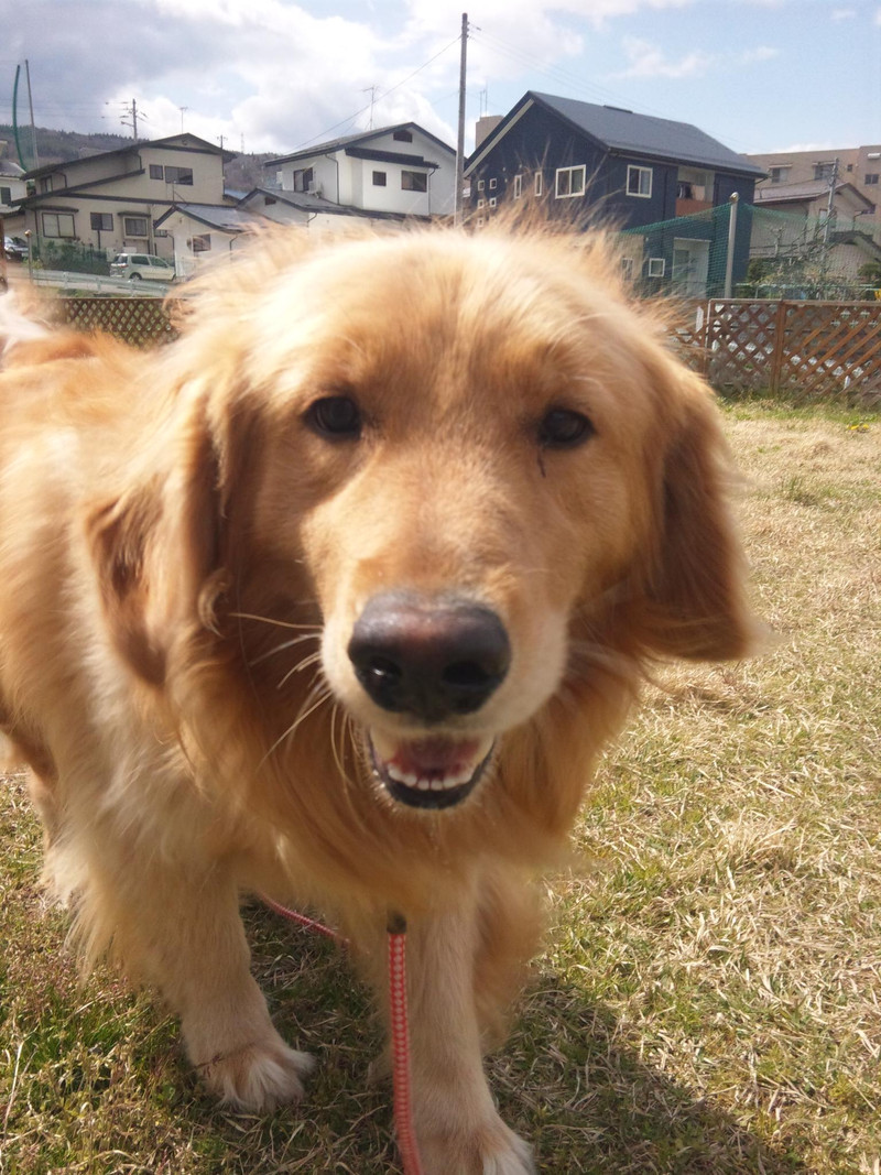今日も元気いっぱいでした♪太郎くん！