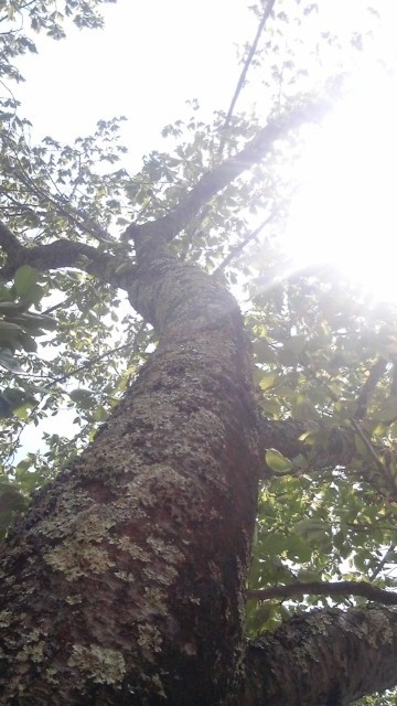 Yukiko03_2 Yukiko03_2