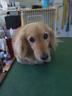 いつもご利用頂きありがとうございます！ムーちゃん♪