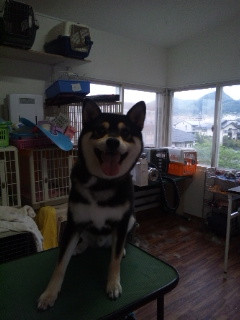 お泊まり最終日！テツロウくんです♪