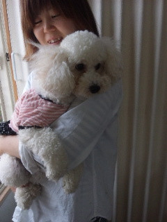 ハロちゃん 山形市 ペットホテル わんニャンシャンプー