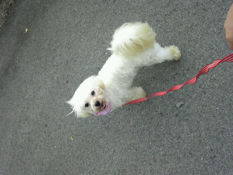 ★りんどう湖★