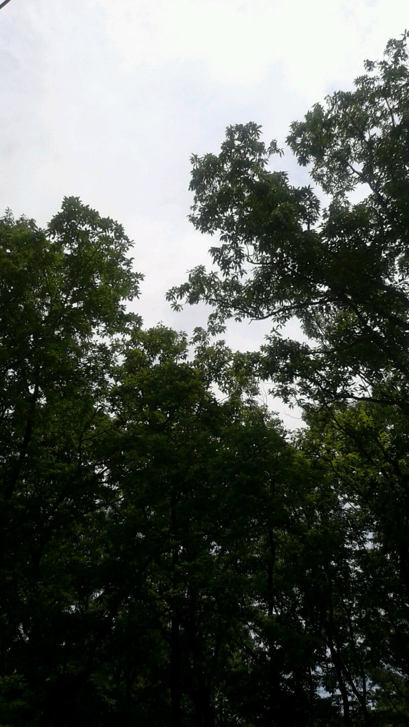 ★りんどう湖★