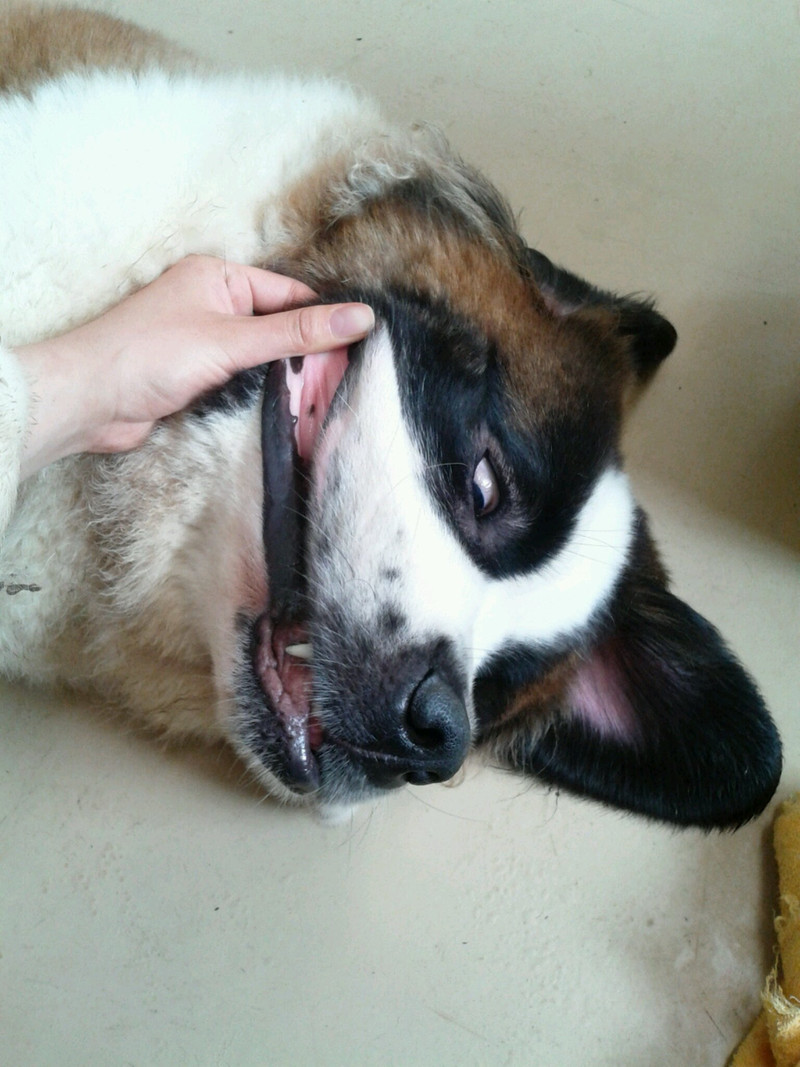 ★りんどう湖★