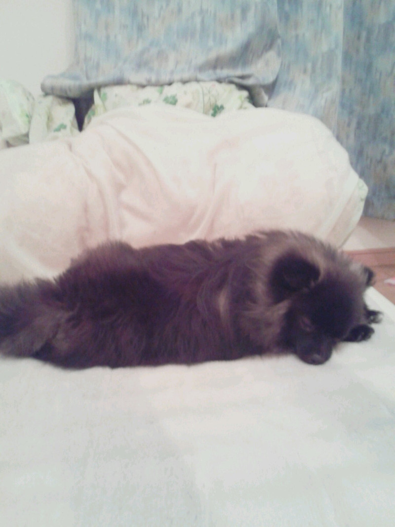 ★りんどう湖★