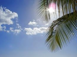 Photo_19