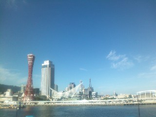 Photo_3