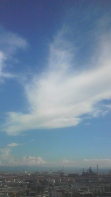 Photo_8