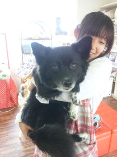 アックちゃん 山形市ペットホテル わんニャンシャンプー