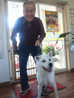 サンちゃん 山形市 ペットサロン わんニャンシャンプー