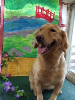 ランちゃん山形市ペットホテルわんニャンシャンプー