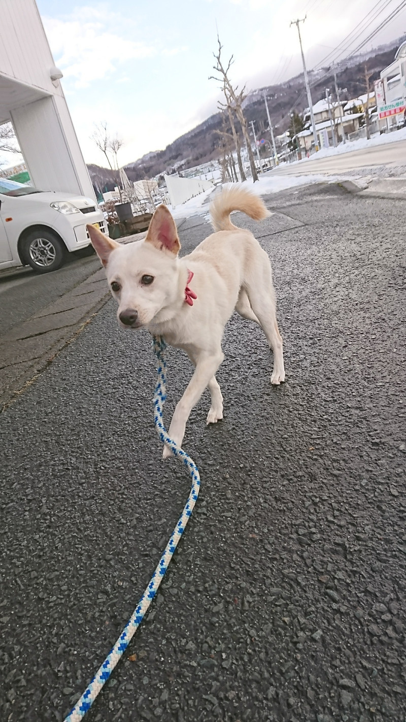 mixの愛ちゃん お泊まりの様子