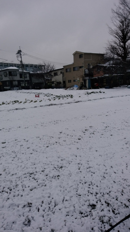 雪(多治見)