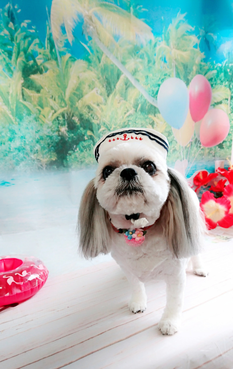 MIXのひかりちゃん トリミングコース