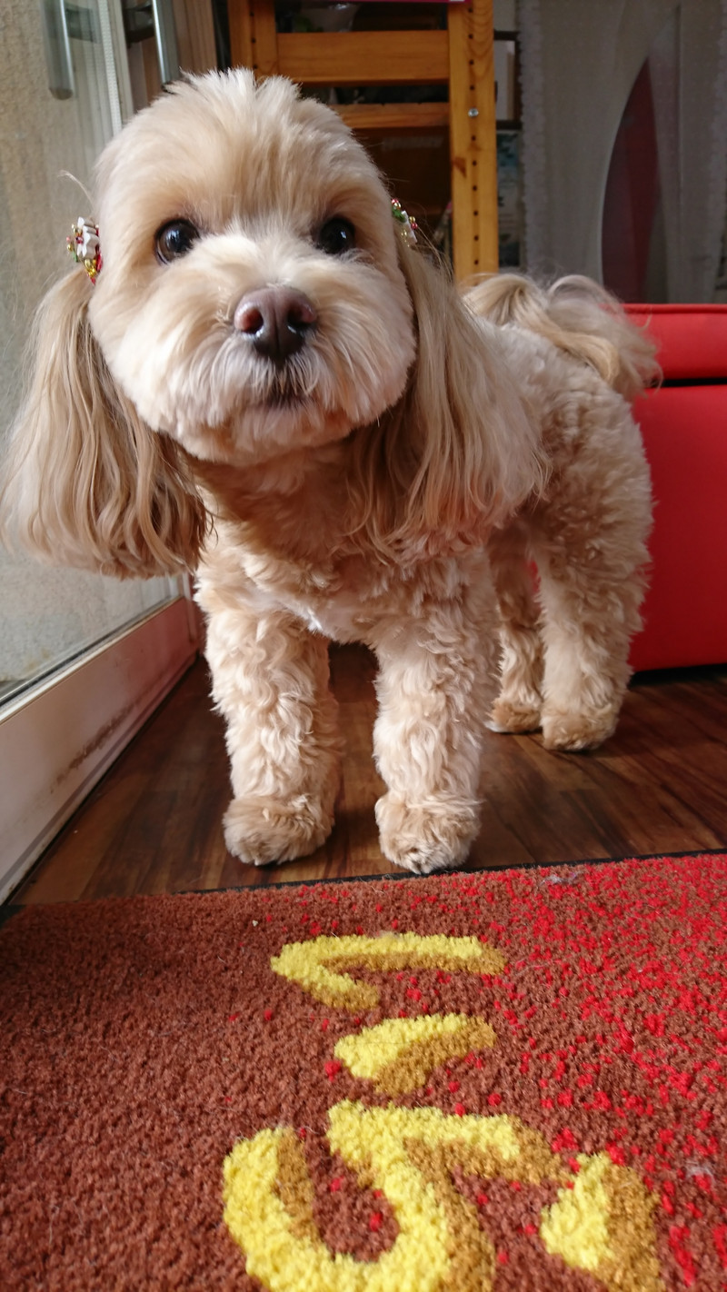 MIXのもずくちゃん 一時お預かり