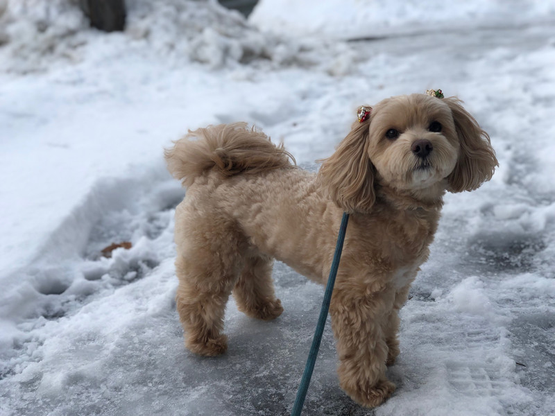 MIX もずくちゃん お泊まりの様子