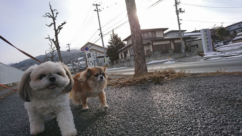 MIXのひかりちゃん&みらいちゃん お泊まりの様子