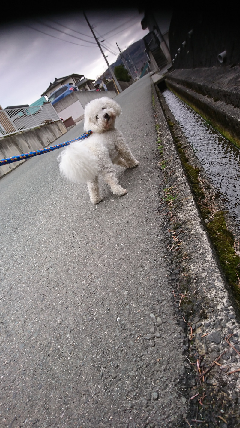 ビジョンの玲苺斗ちゃん お泊まりの様子