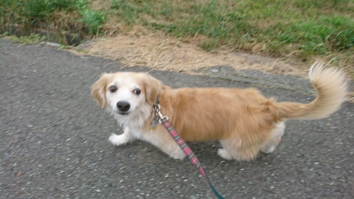 MIXのくるみちゃん お泊まりの様子