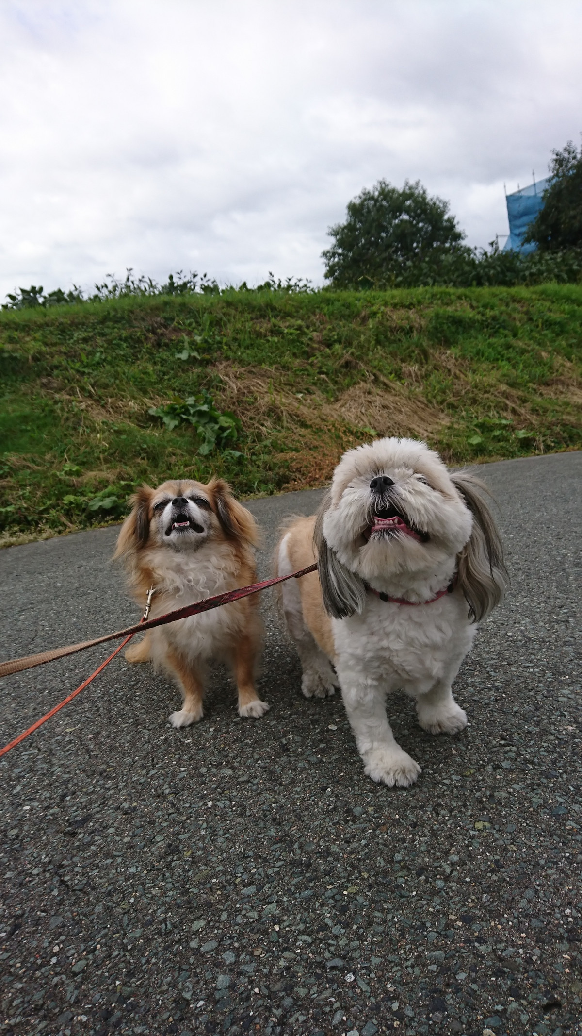 MIXのひかりちゃん&みらいちゃん お泊まりの様子