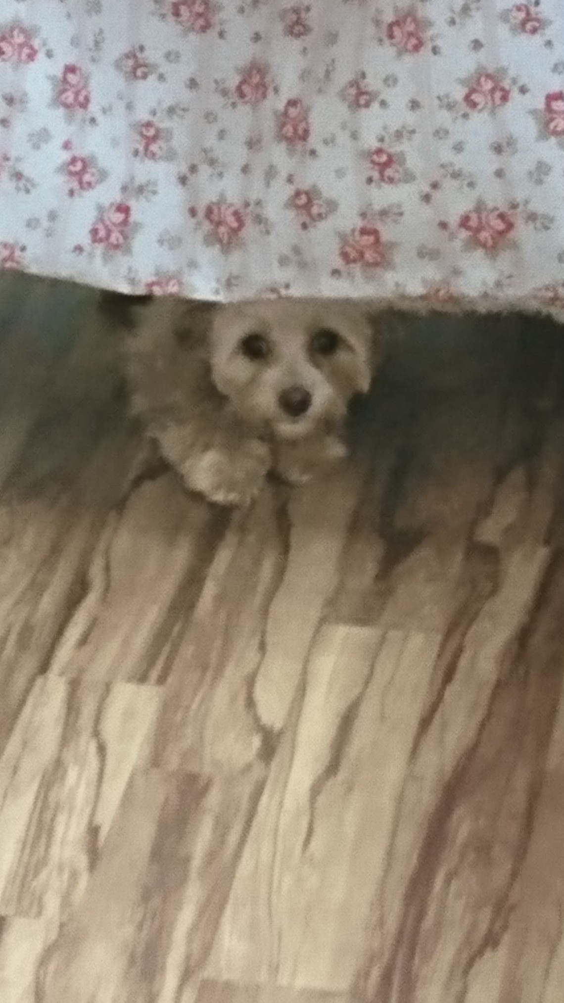 MIXの空太ちゃん お泊まりの様子