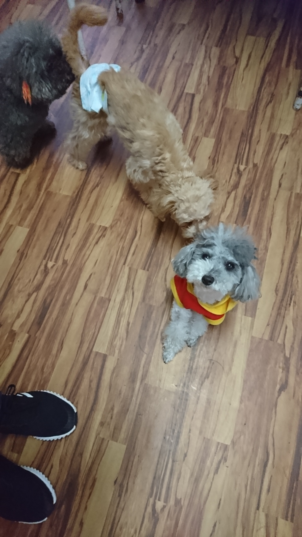 MIXの空太ちゃん お泊まりの様子