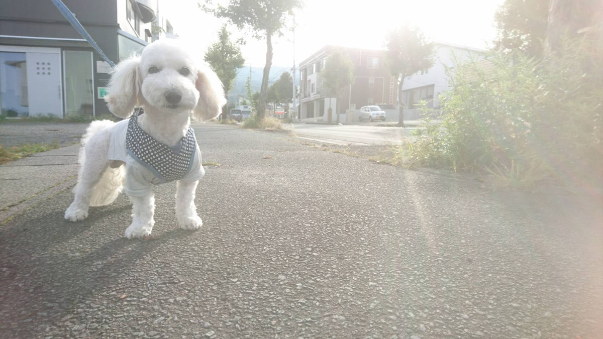 MIXのそらちゃん お泊まりの様子