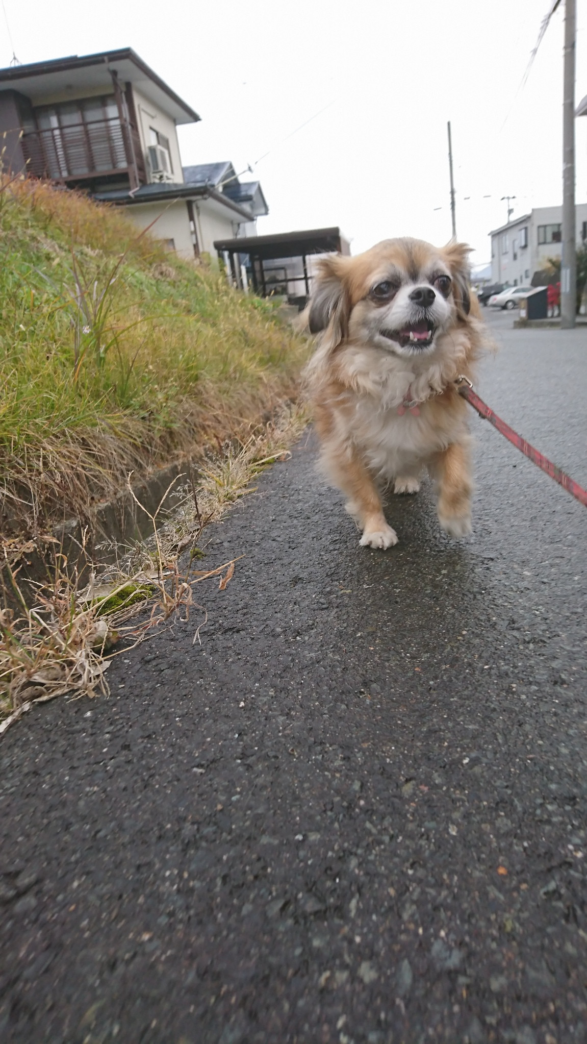 MIXのひかりちゃん&みらいちゃん お泊まりの様子