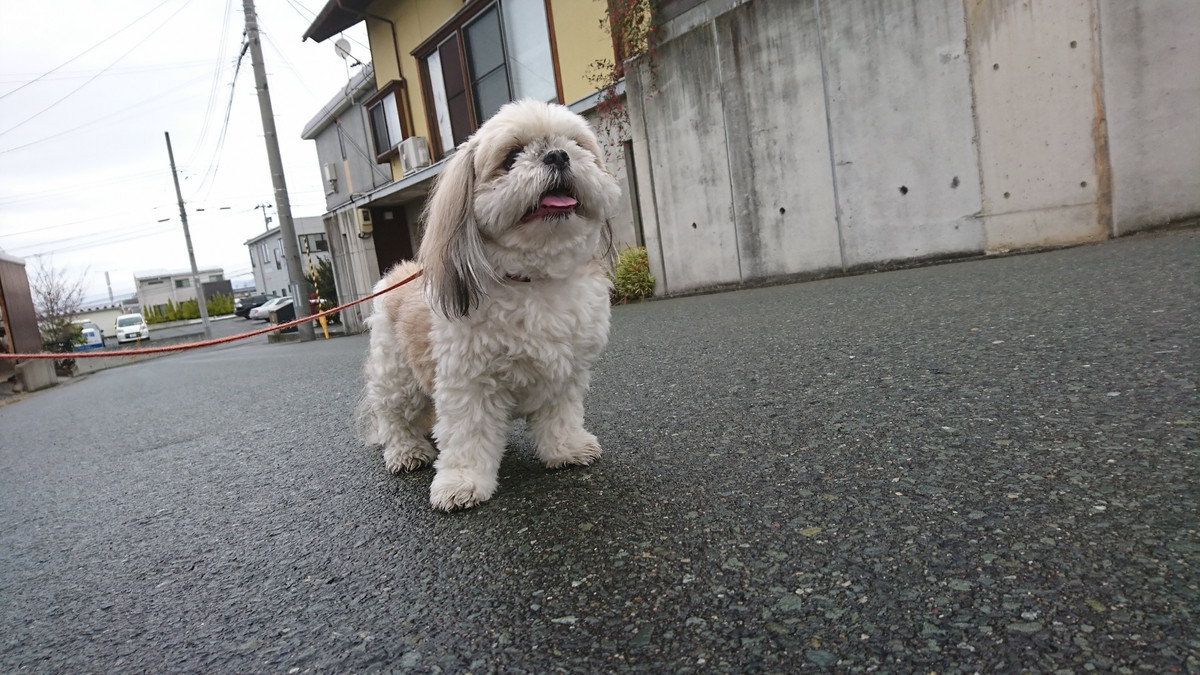 MIXのひかりちゃん&みらいちゃん お泊まりの様子