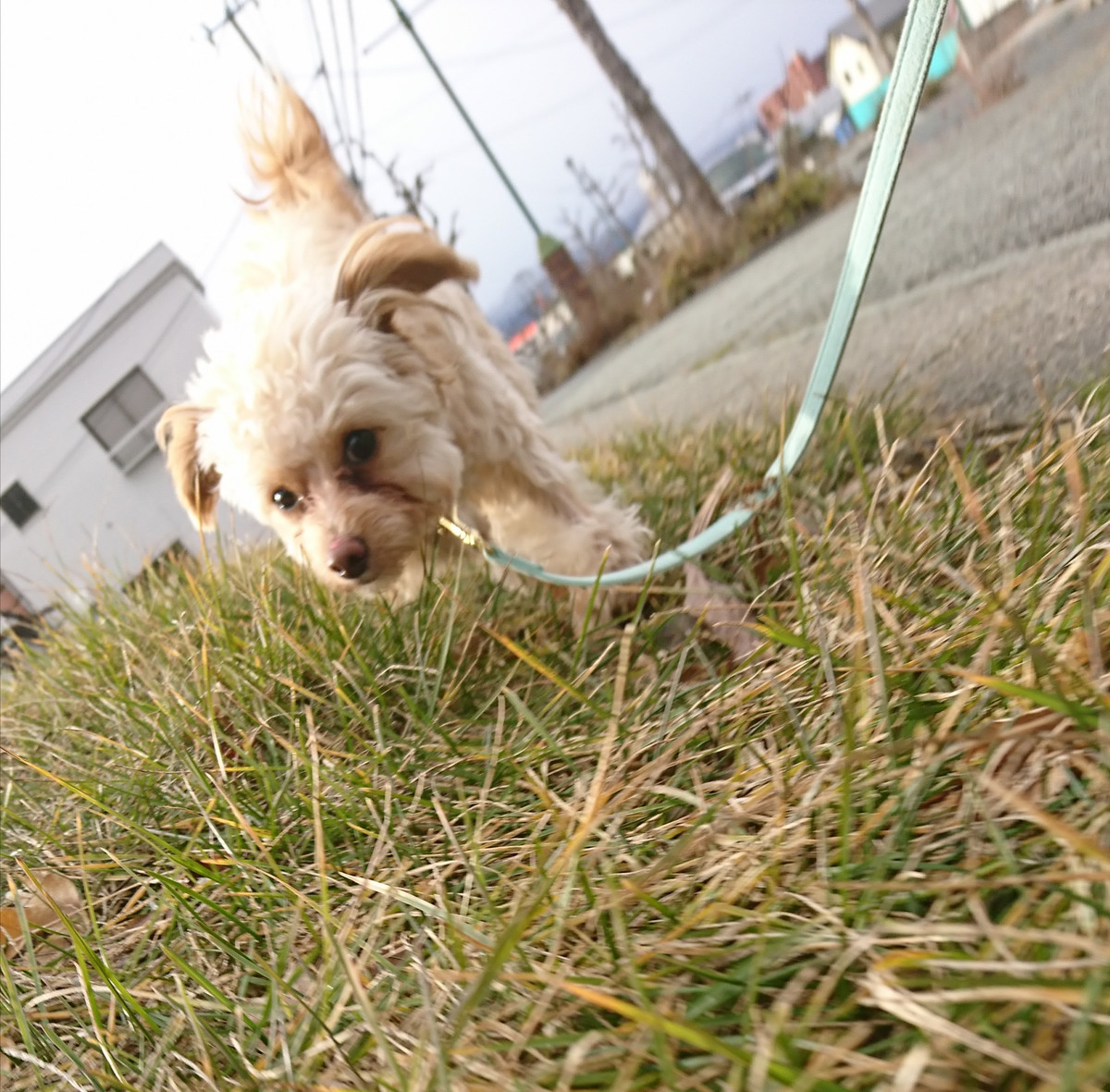 MIXの空太ちゃん お泊まりの様子