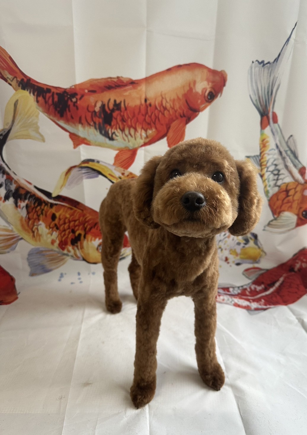 プードルのもなかちゃん トリミングコ ース