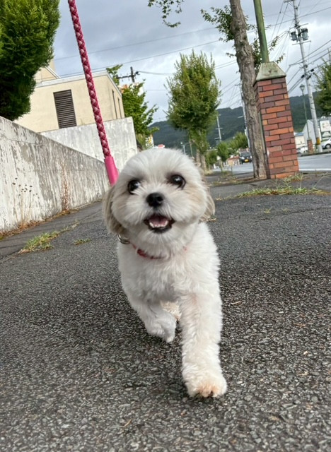 MIX ニコちゃん お泊まりの様子
