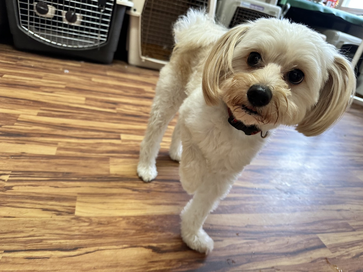 MIX エテちゃん お泊まりの様子